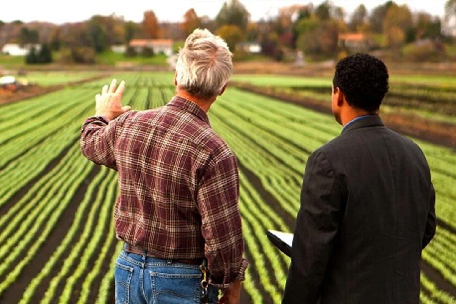 Entrepreneur & Farm
